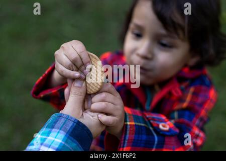 3 year old boy receives in his hands a cookie given by his mother. Selective focus on the cookie. Concept of family and mother's day. Stock Photo