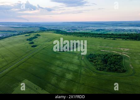 Aerial view of green farm fields in summer season with growing crops. Farming and agriculture industry. Stock Photo