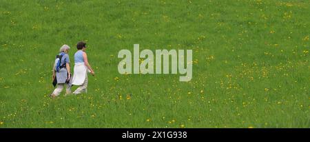 APA2238235 - 30042010 - ST.JAKOB AM THURN - Austria: Feature - Two women walking through a blooming meadow on Friday, April 30th 2010.APA-PHOTO: BARBARA GINDL - 20100430 PD0487 - Rechteinfo: Rights Managed (RM) Stock Photo