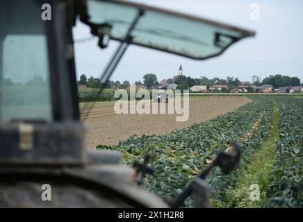 Feature - Austrian state Upper Austria - is one of the nine states or Bundeslaender of Austria. Upper Austria is the fourth-largest Austrian state by land area and the third-largest by population. PICTURE: farm tractor in Eferding on 14th July 2015 - 20150714 PD12138 - Rechteinfo: Rights Managed (RM) Stock Photo