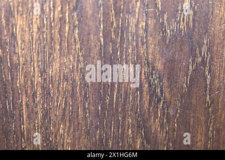 A high-resolution close-up photo of a natural wood grain texture, showcasing its intricate details, variations in color Stock Photo