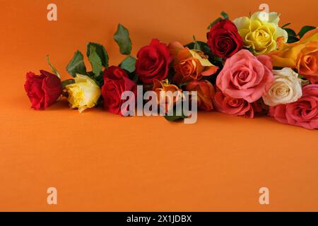 bouquet of yellow, red, pink roses with a copy space for the designer, flowers for professional holiday on an orange background, concept of mother's, Stock Photo