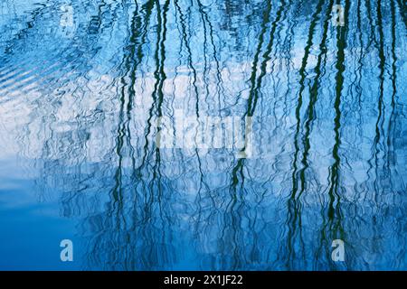 mesmerizing scene lake or pond with wavy reflections tree branches in rippling water, blue sky creates sense tranquility and peace, while ripples add Stock Photo