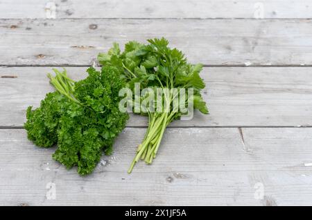 Bunch of fresh, curly and flat parsley on a light wooden background Stock Photo