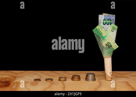 wood desk black background coins stacked in a row with a money tree made from South African bank notes at the end Stock Photo
