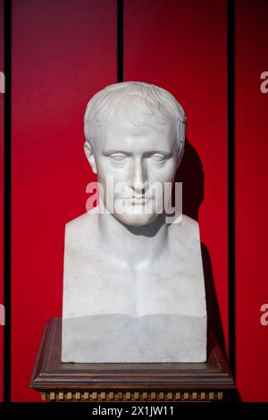A marble bust of Napoleon I displayed against a red background in the Military Museum at Les Invalides, Paris, France. Stock Photo