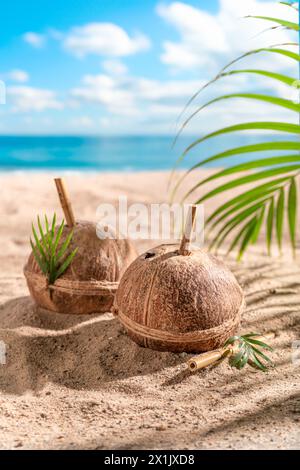 Healthy and fresh coconut milk in shell on an exotic island. Holidays on a paradise beach. Stock Photo