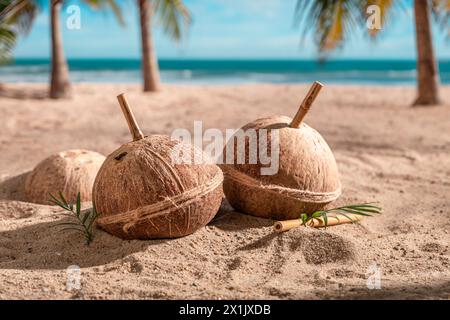 Fresh coconut milk in shell on a tropical island. Drink served on an exotic beach. Stock Photo