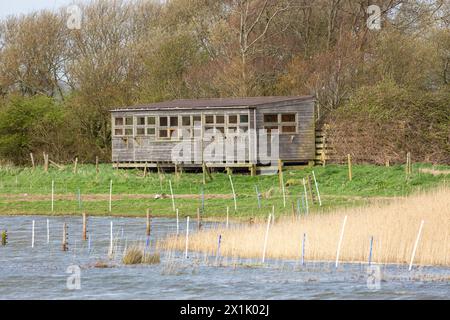 The Allen Hide at Leighton Moss viewed from the Eric Morecambe Hide Stock Photo