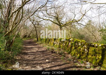 Occupation Lane on Warton Crag in north Lancashire Stock Photo
