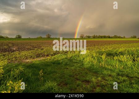 A thunderstorm has passed and the sun shining through the dark clouds ...