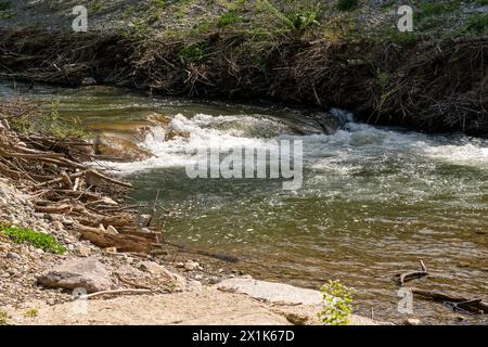 River flowing through landscape, with rapid and white water. on the river bank old driftwood. Stock Photo