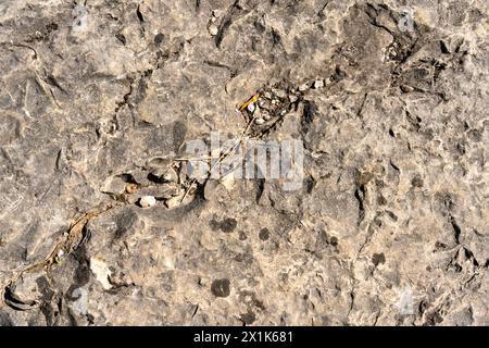 Texture of big rough limestone, with stone chippings lying on it, and cracks where the stone was broken. Stock Photo