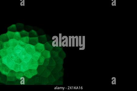 Green Polygonal Shapes on black background. Honeycomb pattern. Stock Photo