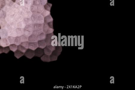 Grey Polygonal Shapes on black background. Honeycomb pattern. Stock Photo