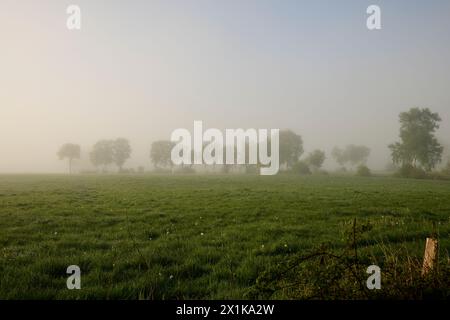 Friesischer Nebel - von strahlenden Sommermorgen bis milchigen Wintertagen - Frieslands sanfte Seite 29 Stock Photo