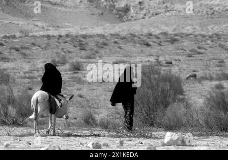 Bedouin women riding a donkey in the desert Stock Photo