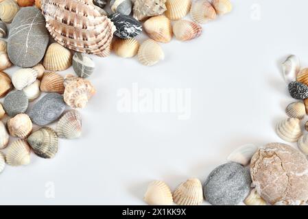 Various shells and pebbles on light background Stock Photo