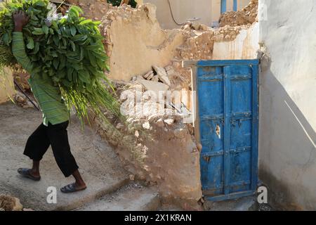Detail of a village in Wadi Tiwi in Oman Stock Photo