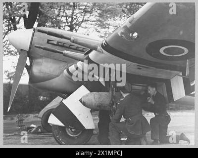 THE TYPHOON AS FIGHTER-BOMBER - (Picture issued 1943) The R.A.F. latest ...