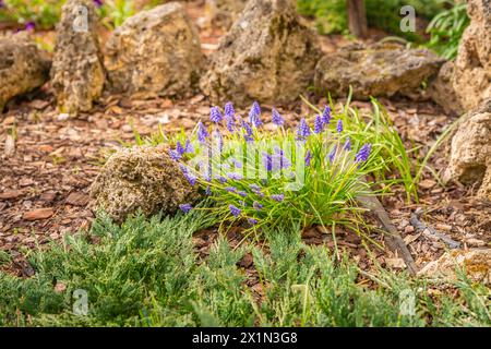Use of natural materials in landscape design. Pine bark, stones and green plants Stock Photo