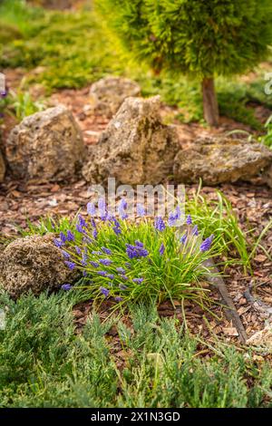 Use of natural materials in landscape design. Pine bark, stones and green plants Stock Photo