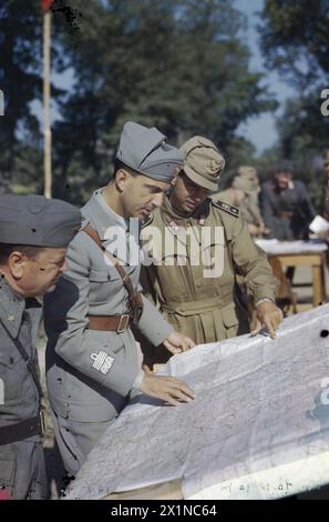 HRH PRINCE UMBERTO OF ITALY, MAY 1944 - HRH Prince Umberto conferring with Divisional General Guiseppe Cortese, extreme left, and other officers over a map table at an Italian camp during his visit to the Italian Corps of Liberation, Sparanise, Italy, Umberto II, King of Italy, Italian Army Stock Photo