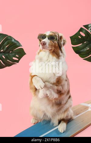 Cute Australian Shepherd dog on surfboard and palm leaves against pink background. Travel concept Stock Photo