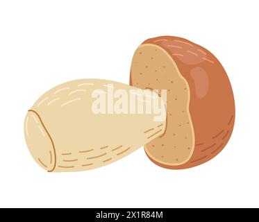 Porcini forest mushroom. Hand drawn boletus edulis fungus. Porcini fresh edible mushrooms cartoon style decor element. Cep. King bolete on white background. Penny bun Vector illustration Stock Vector