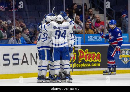 April 17th, 2024: Toronto Marlies players celebrate a goal in the second period against the Rochester Americans. The Rochester Americans hosted the Toronto Marlies in an American Hockey League game at Blue Cross Arena in Rochester, New York. (Jonathan Tenca/CSM) Stock Photo