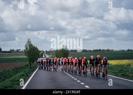 Huy, Belgium. 17th Apr, 2024. Picture by Zac Williams/SWpix.com - 17/04/2024 - Cycling - 2024 Fleche Wallone - The peloton Credit: SWpix/Alamy Live News Stock Photo