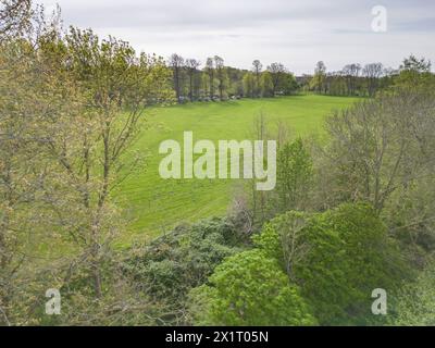 foots cray meadows on the banks of the river cray is a nature reserve of woodland, walks and meadows in sidcup london Stock Photo