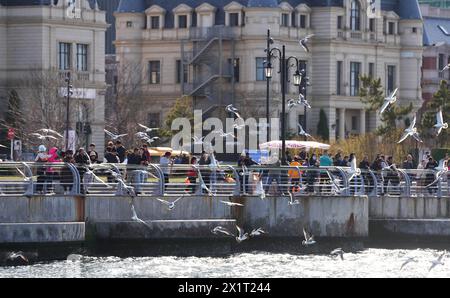 Dalian, China's Liaoning Province. 16th Apr, 2024. A tourist feeds ...