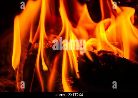 Capture the essence of inferno with a close-up of fiery wood fire, showcasing blazing flames and scorching heat. Stock Photo