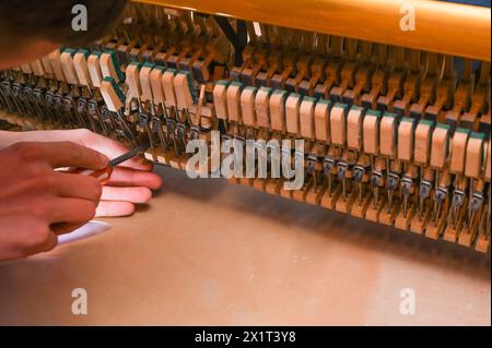 The tuner repairs an old piano. close-up Stock Photo