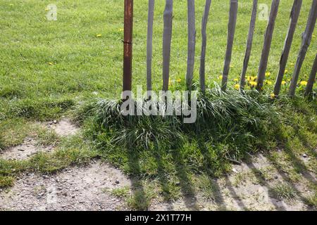 Shadow on Grass from Wooden Fence Epsom Downs Racecourse Surrey England Stock Photo