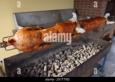 Details with suckling pigs roasting over burning coals. Stock Photo