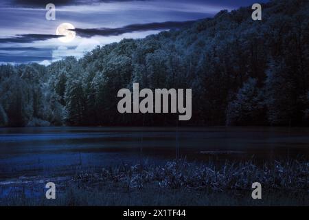 lake among the forest at night. trees reflecting in the water. midnight ...