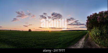 Panorama of the setting sun over fields and forests in the countryside Stock Photo