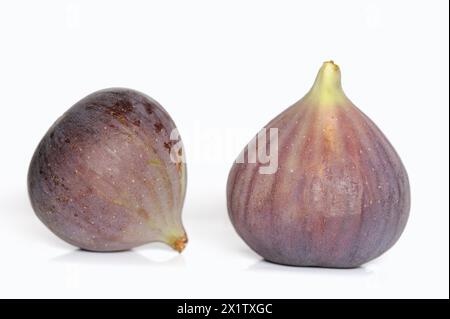 Real fig or fig tree (Ficus carica), ripe figs against a white background Stock Photo