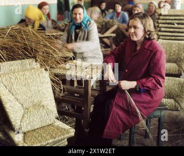 Socialist Republic of Romania in the 1970s. Workers in a state-owned workshop making woven seats for rush chairs using natural bulrush leaves that they twist manually. Stock Photo