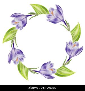 Watercolor frame, wreath, logo, template with bouquet of yellow blooming crocus flowers and leaves isolated on white background. Spring and easter bot Stock Photo