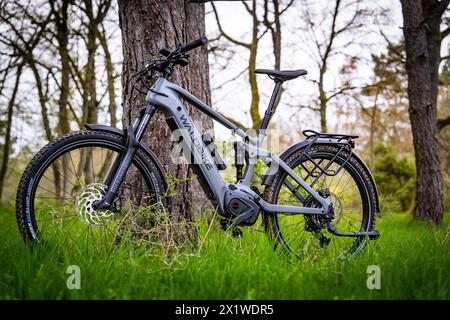 An e-bike leaning against a tree in a spring-like forest, spring, e-bike forest bike, Gechingen, Black Forest, Germany Stock Photo
