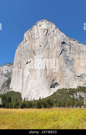 El Capitan, Vosemity Valley, Yosemite National Park, California, United States, USA, Yosemite National Park, California, USA Stock Photo