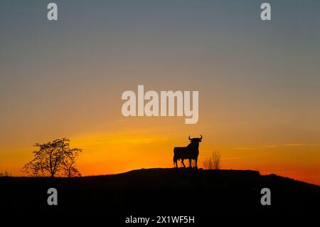Silhouette of the Osborne bull at sunset. Guadalajara, Castilla La Mancha, Spain. Stock Photo