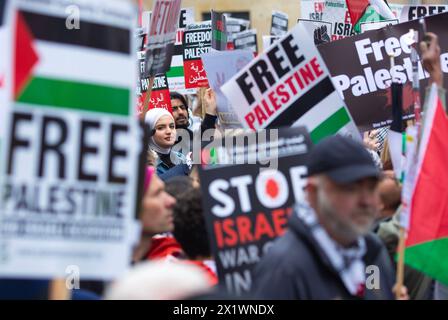 Demonstrators gather near a Palestinian flag during a protest in Lyon ...