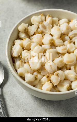 Raw Cooked White Mexican Hominy Corn in a Bowl Stock Photo