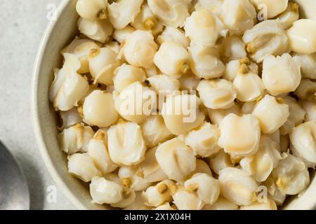 Raw Cooked White Mexican Hominy Corn in a Bowl Stock Photo