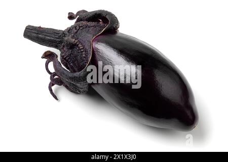 Single fresh purple eggplant isolated on white background close up Stock Photo