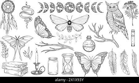 Mystical forest set. Vector illustration of owl and moths. Drawing of Witch Magic collection with butterfly, moon faces and dreamcatcher in linear style painted by black inks. Outline sketch of poison Stock Vector